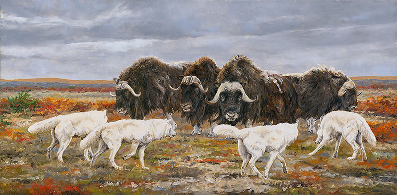 Musk Ox and Arctic Wolf by Linda Besse